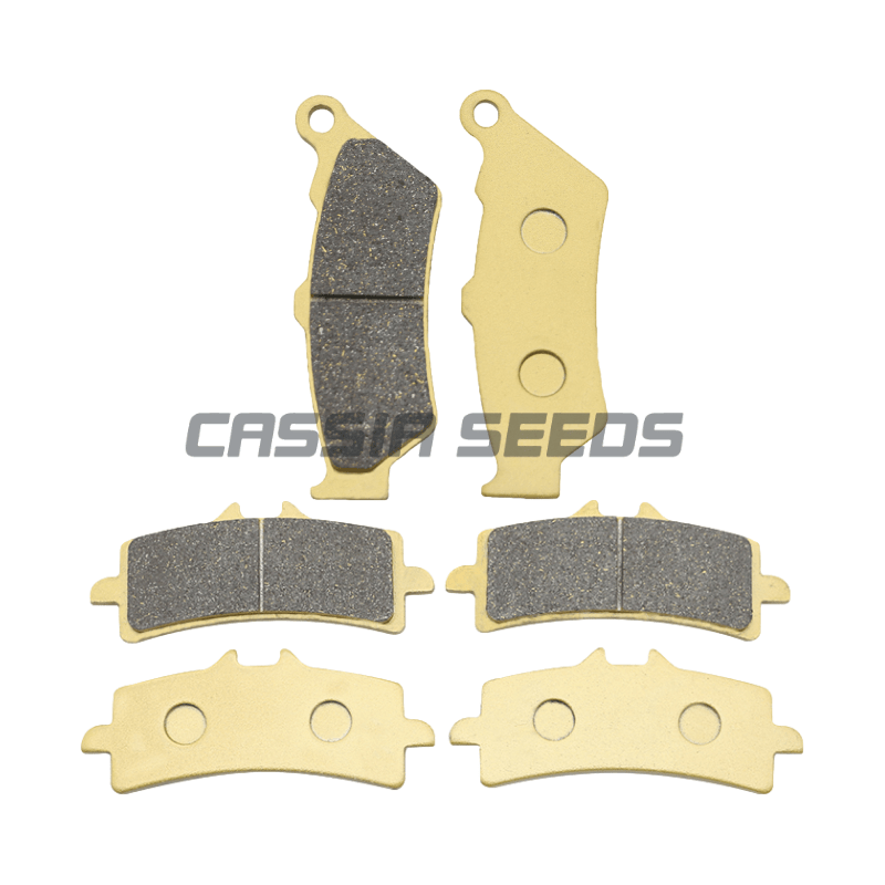 Carbon Ceramic Motorcycle Brake Rotor - Pastiglie freno anteriori e posteriori per